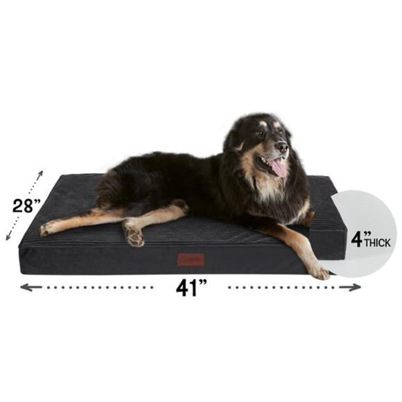 Black Orthopedic Dog Bed for Large Dogs with Non-Slip Bottom 41"L x 28"W x 4"H - Picture 1 of 7